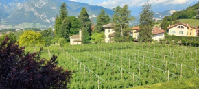 A casa di Giordana Trento